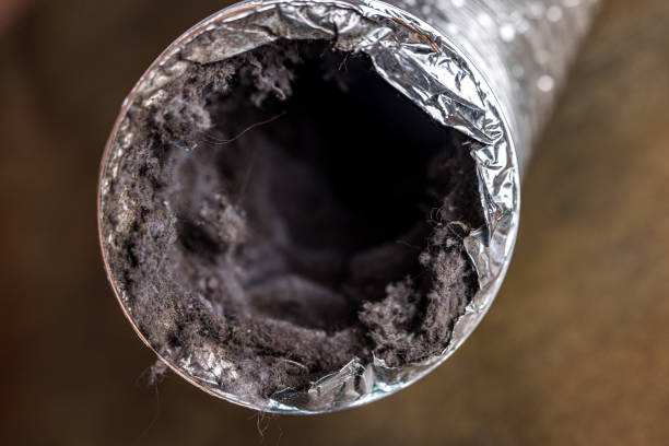 Best Home Air Vent Cleaning  in Calhoun City, MS
