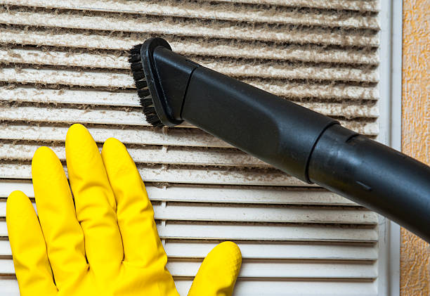 Best HVAC System Cleaning  in Calhoun City, MS